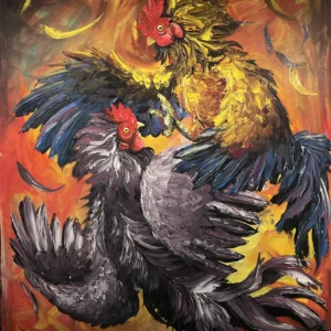 Puja - Bataille de coqs